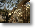 pergola irise gole club016.jpg